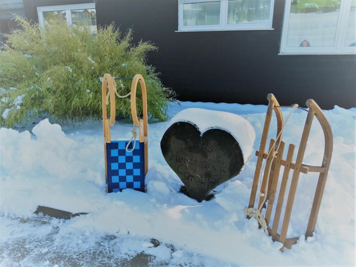 Bergchalet Heidestock Willingen  Exterior foto